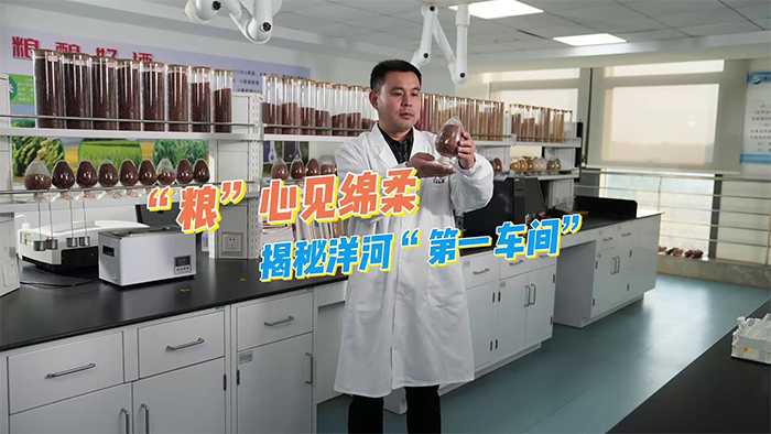 TOP1体育 – 覆盖所有顶级赛事的一站式终端