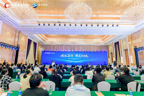 TOP1体育 – 覆盖所有顶级赛事的一站式终端