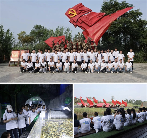TOP1体育 – 覆盖所有顶级赛事的一站式终端